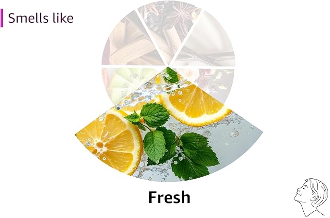 Mitchum Women’s Triple Odor Protection Antiperspirant & Deodorant Gel, Powder Fresh, 48HR Protection, 2.25 oz