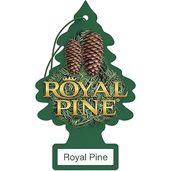 Little Trees Car Air Fresheners – Royal Pine (Pack of 6)