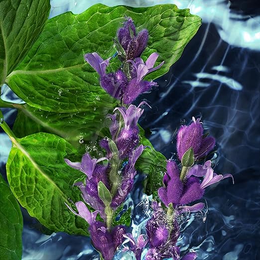 Davidoff Cool Water Men's Deodorant Stick – With Notes of Coriander, Mint, Lavender & Amber – 2.5 fl oz.